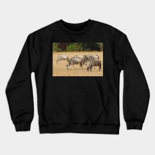 White Race Wildebeest Herd Grazing Crewneck Sweatshirt